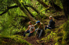 Kohutapu Lodge