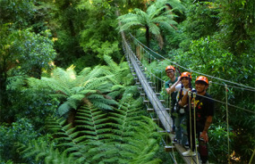 Rotorua Canopy Tour