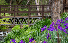 Araluen Botanic Park