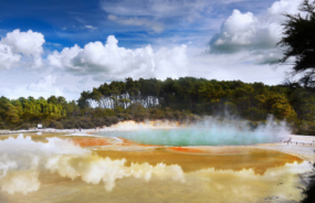 Rotorua Geothermal Springs
