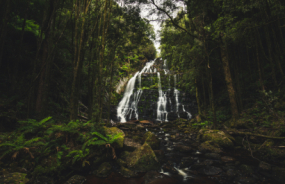 Queenstown Waterfall