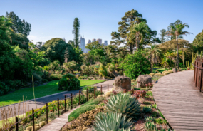 Royal Botanic Gardens