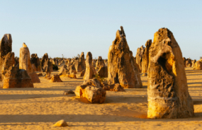 Limestone Pillars in the Pinnacles Desert