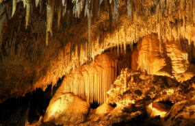 Mammoth Cave