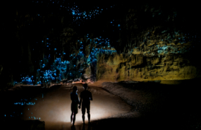 Waitomo Glowworm Caves