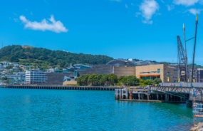Te Papa Museum