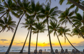 Palm Cove Beach
