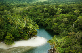Cape Tribulation