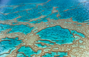 Great Barrier Reef