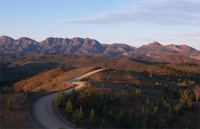 Ikara-Flinders Ranges National Park