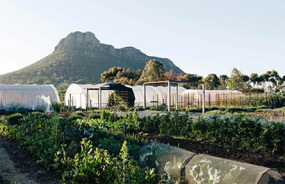 Royal Mail Hotel’s Kitchen Garden