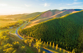 Great Alpine Road