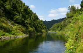 Whanganui National Park