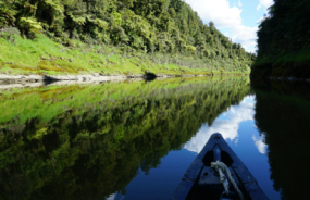 Paddling the Whanganui River