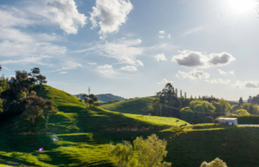 Waitomo Surroundings