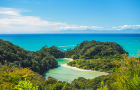 Abel Tasman
