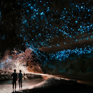 Glow worms lighting up a cave with a man and woman standing in the cave
