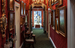 David Roche Foundation