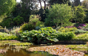 Royal Tasmanian Botanical Gardens