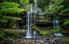 Russell Falls