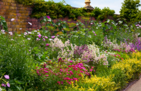 English Garden