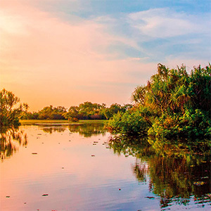 Tranquil water, sunset sky, lush trees, gentle reflection.