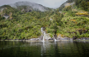 Doubtful Sound