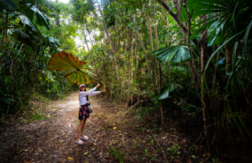 Cape Tribulation