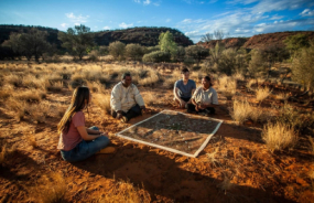Indigenous Stories