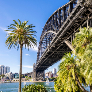 Sydney Harbour Bridge with palm trees and cityscape.