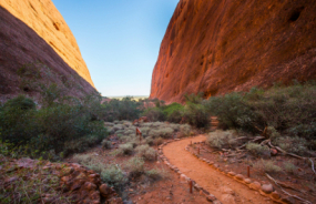 Walpa Gorge