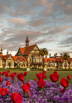A Tudor-style building stands behind a garden of red and purple flowers.