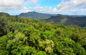 Kuranda National Park
