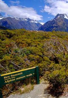 View of Key Summit on Routeburn Track