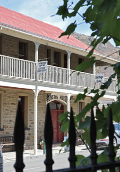 A historic building set behind a tree