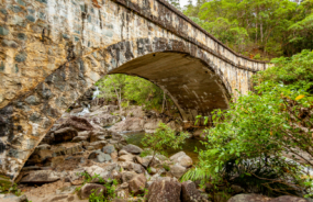 Paluma Range National Park