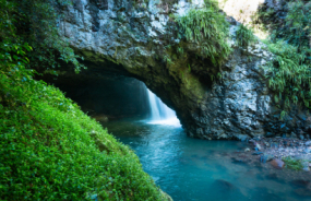 Springbrook National Park Natural Bridge
