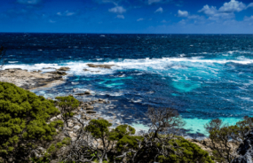 Cape to Cape Track coast