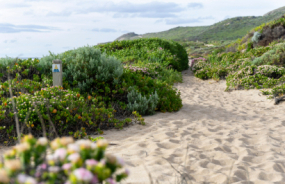 Cape to Cape Track