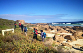 Cape to Cape Track hikers