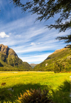 Lush green valley between steep, forested mountains.