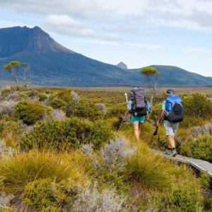 Two hikers on boardwalk traverse vast, mountainous landscape.