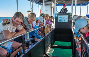 Glass Bottom Boat Carnarvon Day