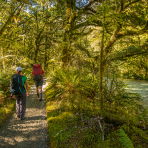A couple hiking Milford Track