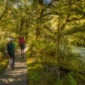 Milford Track