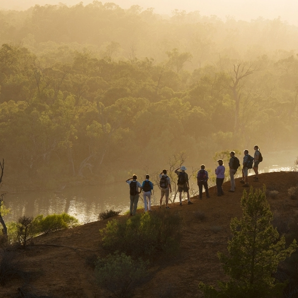 Murray River Walk Australian Walking Tour