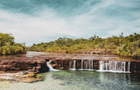 Fruit Bat Falls