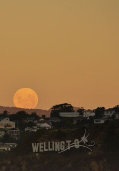 Moon rising behind windy Wellington sign