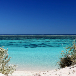A calm turquoise ocean meets a white sandy beach.