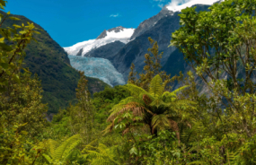 Franz Josef